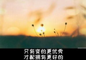 “雅思考试阅读中符号的妙用”