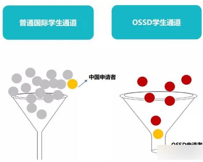 OSSD课程高考后最佳选择，国内学习国外学籍