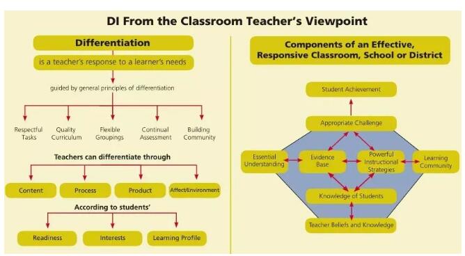 世界权威的差异化教育OSSD课程体系，如何帮学生释放最大潜能？