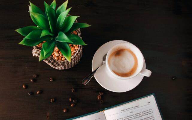 澳洲留学：昆士兰大学留学研究生费用