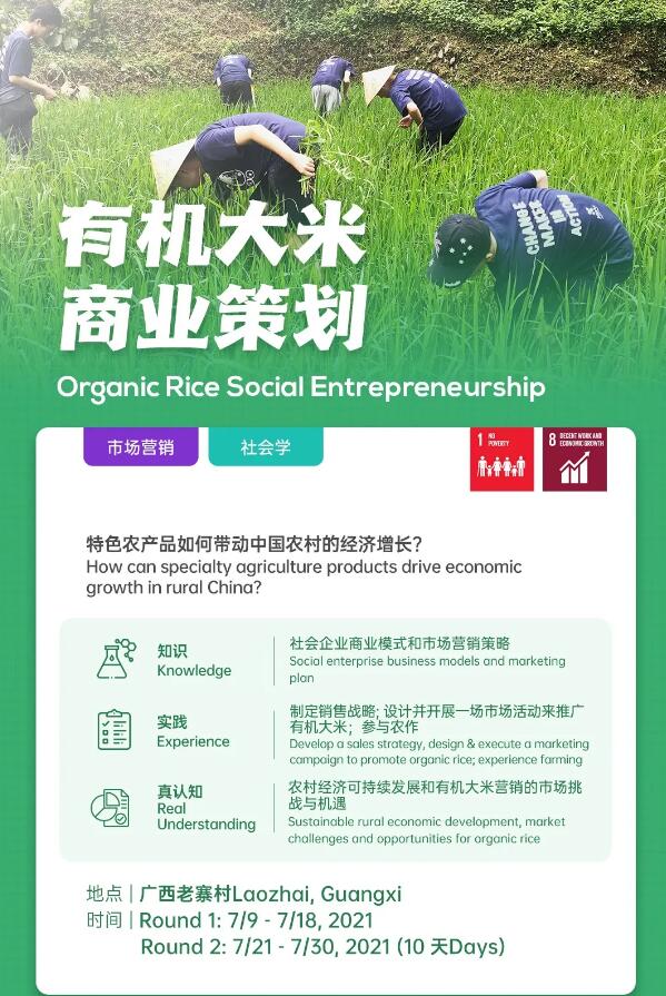 广州环球教育高含金量背景提升项目！助力圆名校名企梦！