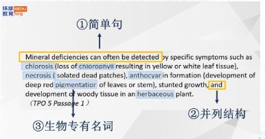 托福考试你真的了解长难句吗？