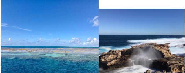 武装启航——从环球A-level到悉尼大学