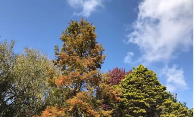 环球ALevel学姐经验分享(下):不同的思想碰撞也是很精彩! 环球ALevel学姐经验分享(下):不同的思想碰撞也是很精彩!