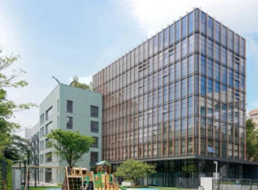 最新！广深国际学校3月开放日汇总，择校先人一步！