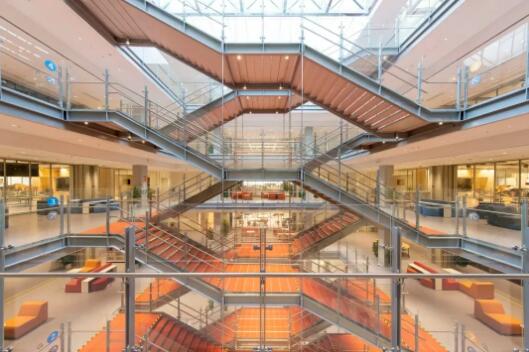 最新！广深国际学校3月开放日汇总，择校先人一步！