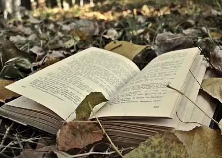 英国本科留学要读哪些国际课程? 英国本科留学要读哪些国际课程?