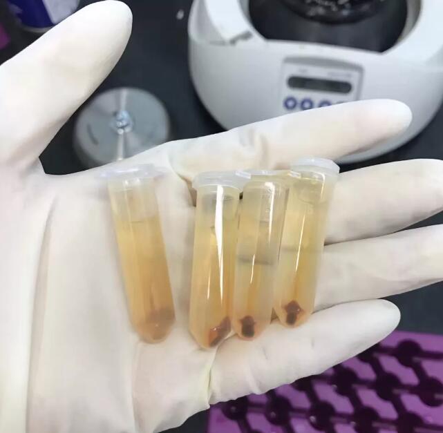 广州环球OSSD课程教师访谈 | Hana：颜值与智商齐，热爱与努力成就非凡！