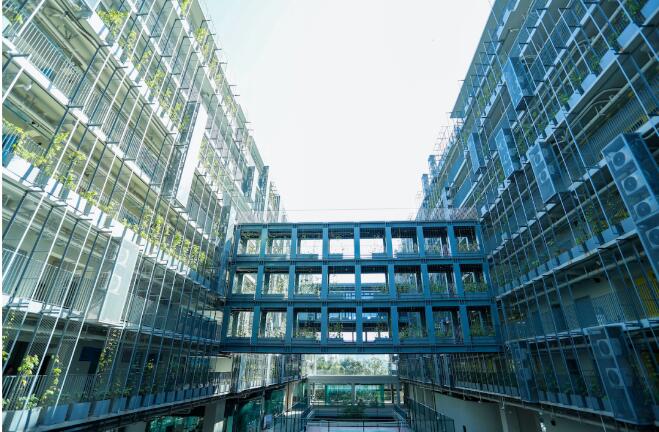 重磅直击！4.11深国交全部科目真题回忆！