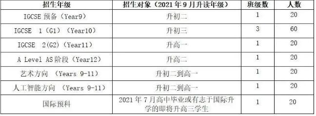 曼彻斯通松山湖学院