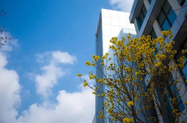 深圳市华朗学校首家创新型国际化十二年一贯制学校来袭