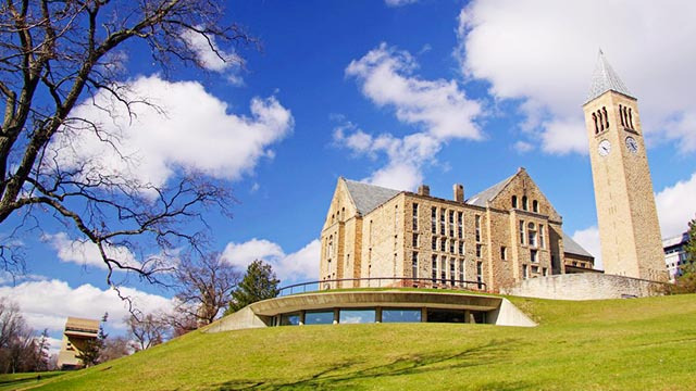 用OSSD成绩申请英国大学，录取率成倍提升！