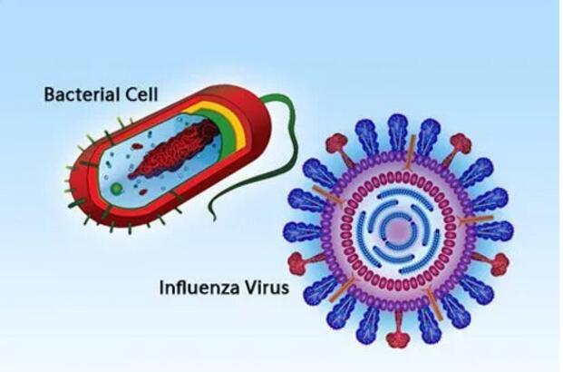 托福考试：5分钟帮你搞定学科词汇【第2期】— 生物学