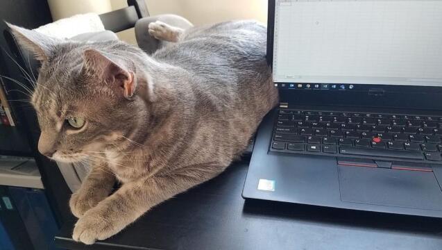 耶鲁招生官支招：写文书注意这些就好！