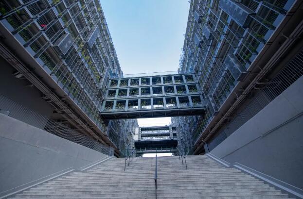 2021年深国交最后一场入学考试须知! 2021年深国交最后一场入学考试须知!