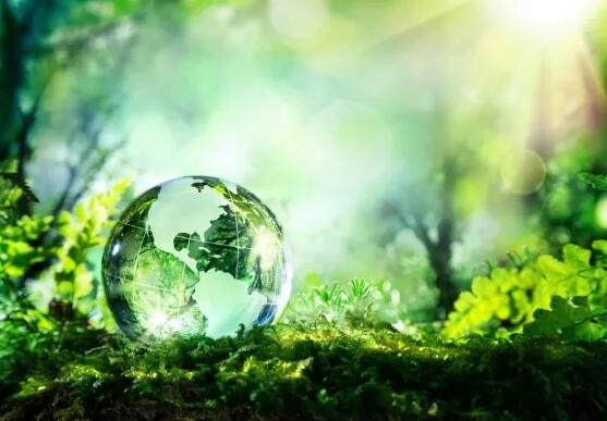 A-level也有学科鄙视链？2021年垫底的竟然是这10个学科！