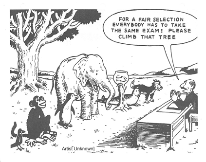 什么是差异化教育？非应试的OSSD课程如何激发孩子潜能？