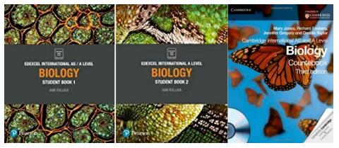 中考后转入国际学校的选择!如何帮助孩子快速适应国际课程? 中考后转入国际学校的选择!如何帮助孩子快速适应国际课程?