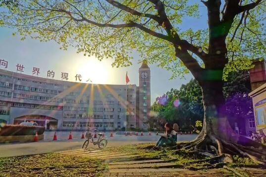 广附国际部、执信中学国际部等10+家国际学校6月份开放日大汇总啦，择校先人一步！