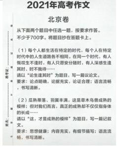 中国高考语文作文  VS  A-level Chinese 作文