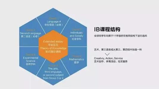 IBDP学科组合及选课建议，没有比这篇更靠谱了！