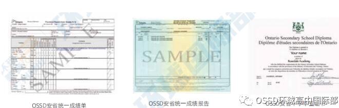 PTE成绩造假，多所学校撤回offer！环球OSSD课程如何让学生顺利申请到世界知名大学？