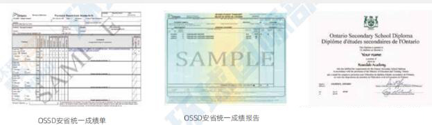 选国内高中还是OSSD？如果你的目标是世界名校，请毫不犹豫选择OSSD！