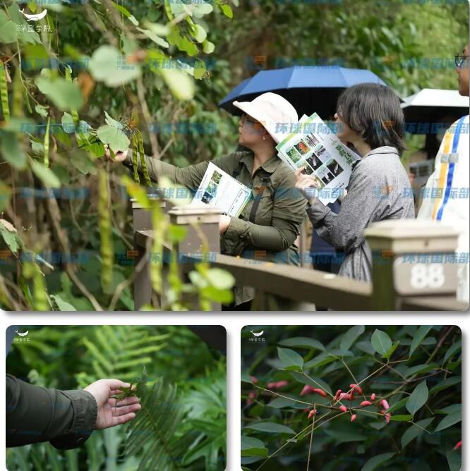 环球教育国际部 | 4月研学活动精彩记录，走进大学城湾咀头湿地，识生态+打“绿怪”