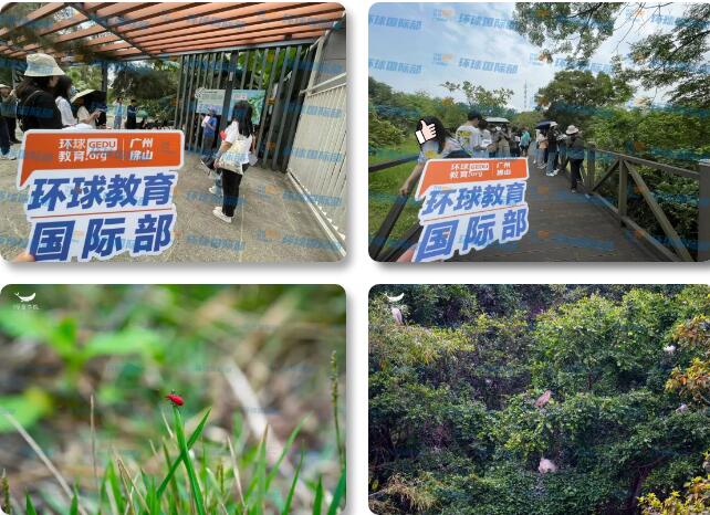 环球教育国际部 | 4月研学活动精彩记录，走进大学城湾咀头湿地，识生态+打“绿怪”