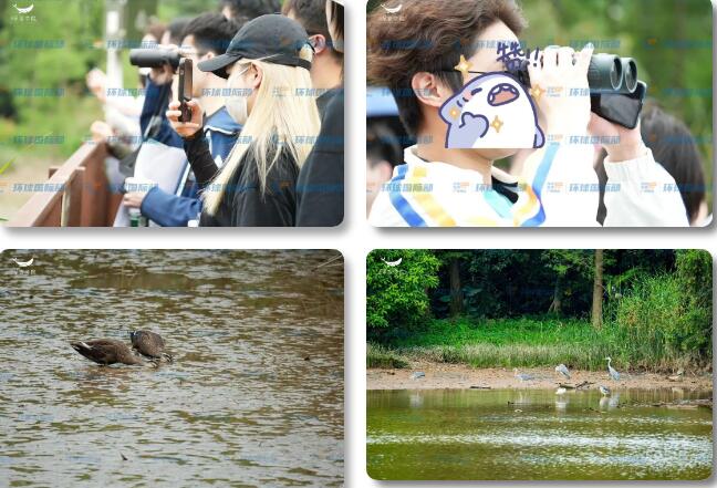环球教育国际部 | 4月研学活动精彩记录，走进大学城湾咀头湿地，识生态+打“绿怪”
