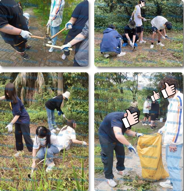 环球教育国际部 | 4月研学活动精彩记录，走进大学城湾咀头湿地，识生态+打“绿怪”