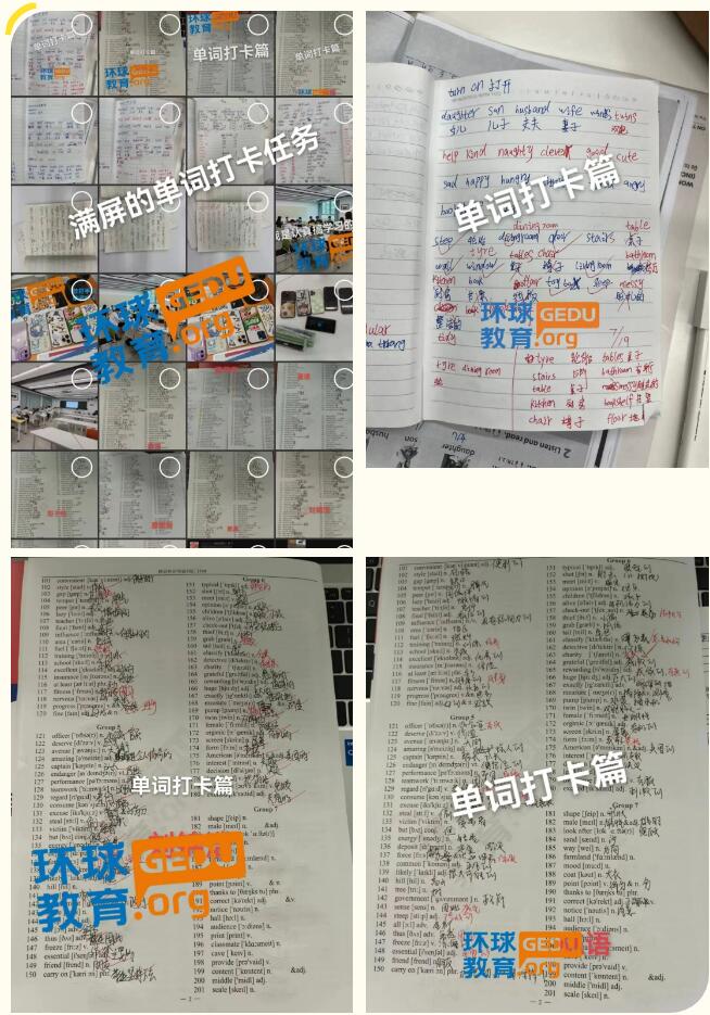 广州环球雅思托福暑期集训营7月回顾之英语单词打卡、家长学情反馈好评