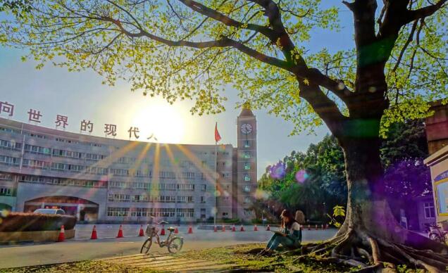 最新！广州新增多个国际高中中外合作办学项目！