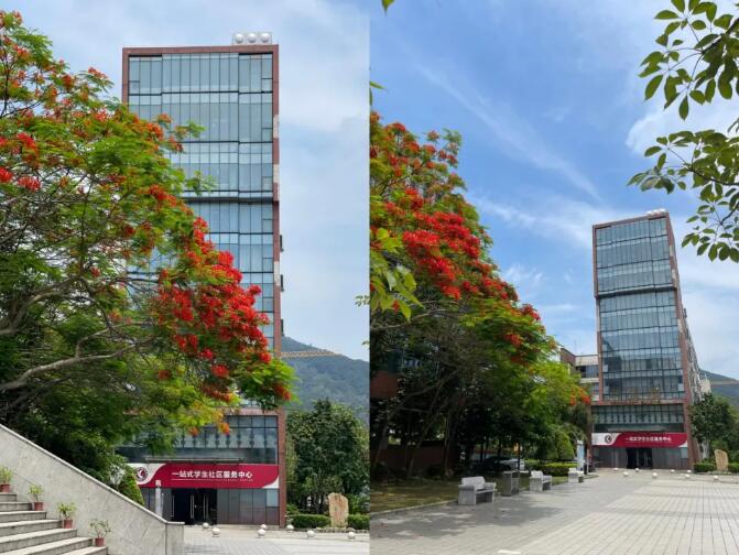 广州环球雅思封闭学院名师采访系列:做知识的传递者，成为学生的“知心姐姐”—李洁 |
