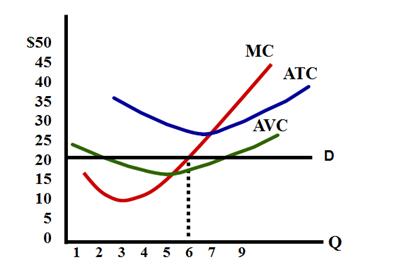 AP经济学难吗?老师教你备考