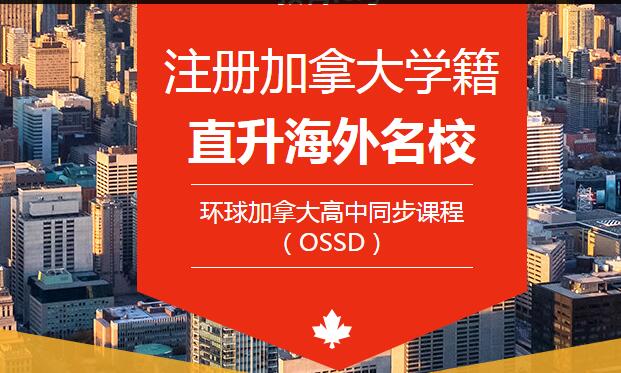 什么是OSSD项目OSSD项目优势