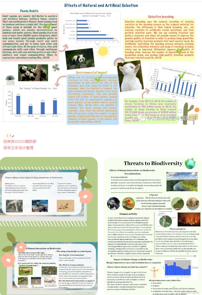 揭秘环球教育广州OSSD生物课作业这样的作业你们见过吗？