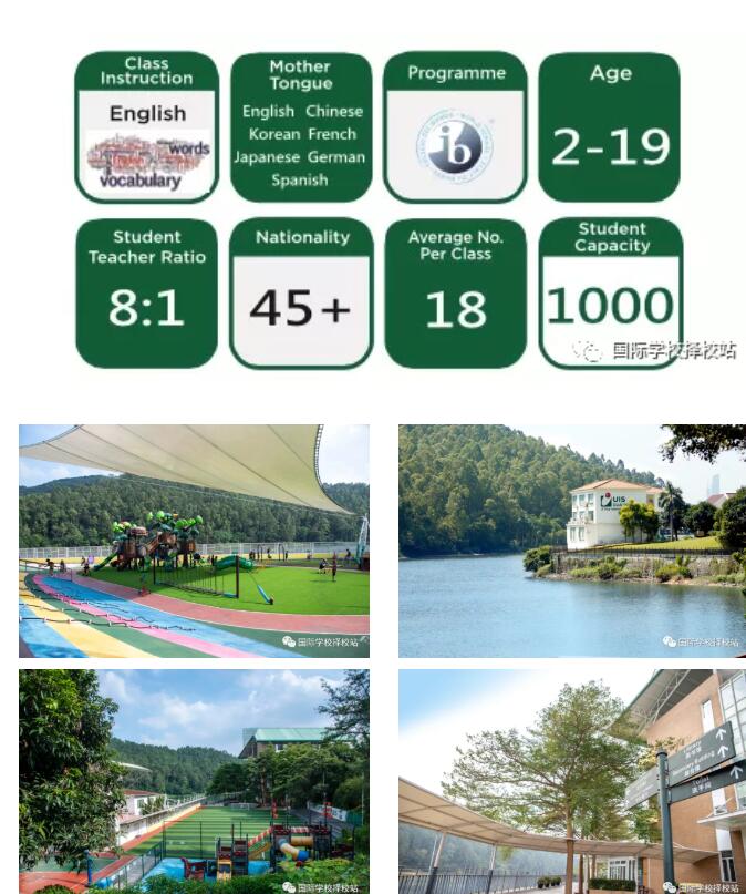 广州誉德莱国际学校，低调了23年的广东省地区IB最好成绩的国际学校！