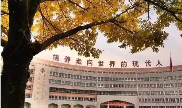 你想知道的广州AP国际学校，都在这里！