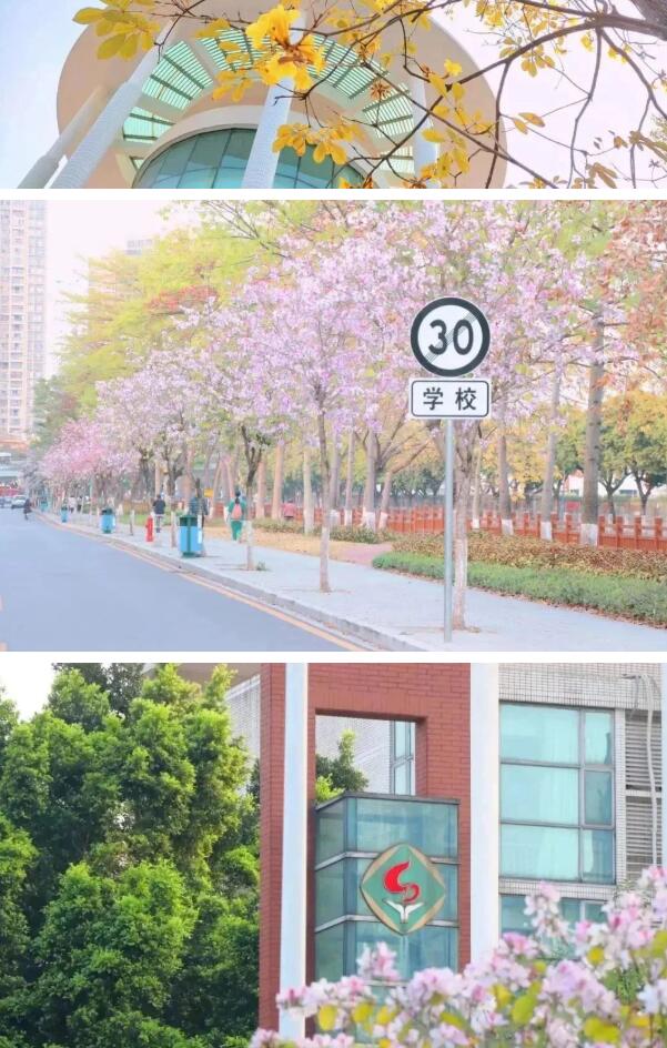 广州国际高中学校哪所学校好？省实AP2023学年招生问答大全