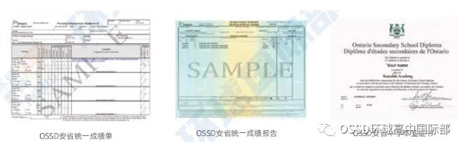 OSSD靠谱吗？学会这样自查OSSD办学资质，让造假无处遁形！