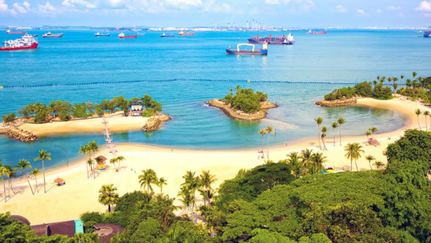 新加坡南洋理工大学「人工智能与机器学习」寒假研学营,火热报名中! 新加坡南洋理工大学「人工智能与机器学习」寒假研学营,火热报名中!