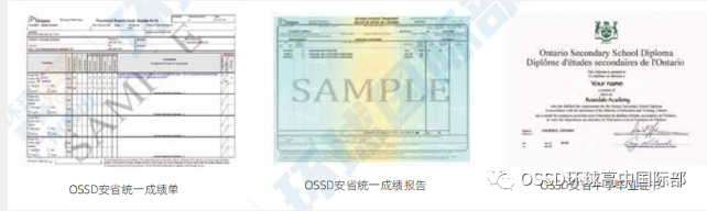 环球OSSD学子狂揽名校offer的秘诀就藏在环球OSSD课程体系的每一个环节里