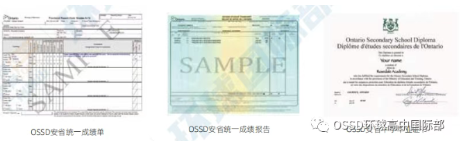 广州环球OSSD用实力证明,如何经得住“烤”验,对谣言说:哒咩!