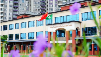 中考后转轨国际学校！广州热门DSE课程国际学校有哪些？