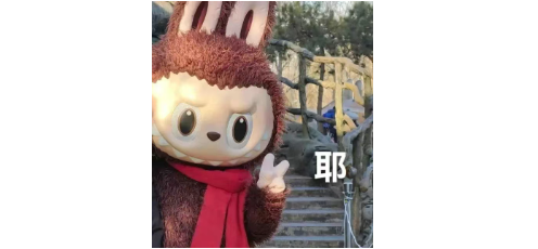 普高生学OSSD，最快一年直通QS Top100名校！