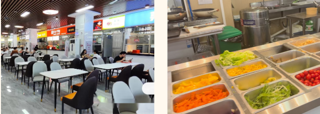 广州环球OSSD学习日常!过程性评价减压,多国联申多元升学 广州环球OSSD学习日常!过程性评价减压,多国联申多元升学