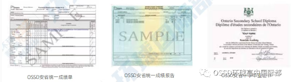 广州环球OSSD学习日常!过程性评价减压,多国联申多元升学 广州环球OSSD学习日常!过程性评价减压,多国联申多元升学