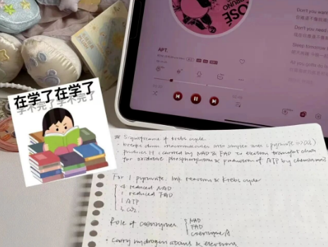 广州环球教育A-level学生暑假冲刺AS打基础，A2全力冲A*！