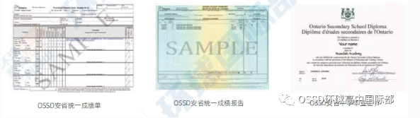 安省OSSD毕业要求更新！今年9月起正式实行